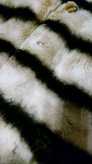 Шубка бобер