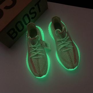 Adidas Yeezy Boost 350 v.2 