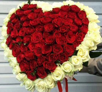 Цветы розы опт букеты 51 25 101 201роза доставка