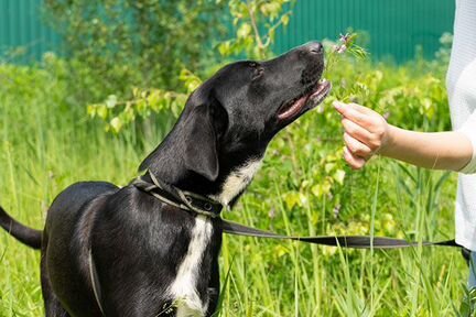 Юная обольстительница мечтает о своем доме