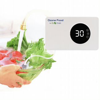Ozone Food бытовой озонатор воды, воздуха, продукт