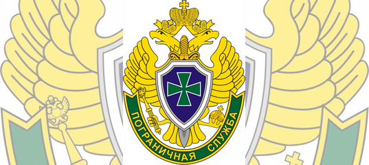 Погранслужба вакансии. Форма пограничника. Погранслужба вакансии. Девушка пограничный контроль. Отряд пограничного контроля в международном аэропорту домодедово.