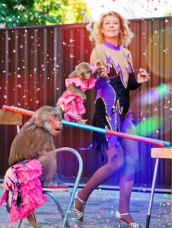 Дрессированные животные