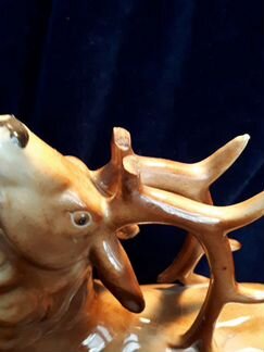 Олень охота