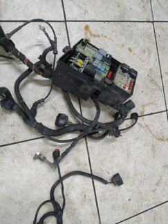 Проводка подкапотная Ford Focus 2 DB 1.6 shda 2008