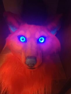 Голова лисы(Фурхед)