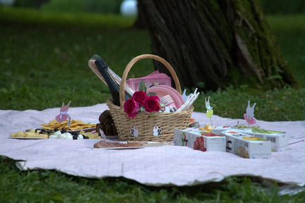 Организатор, ведущая