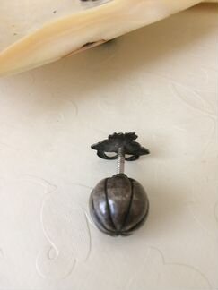 Перламутровые раковины