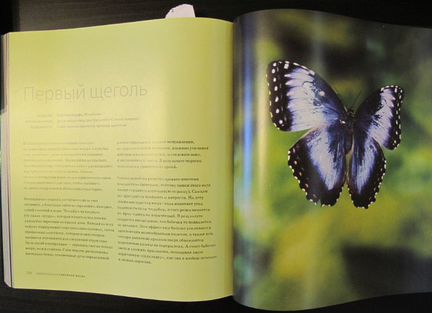 Книга Удивительная природа Марк Карвардин