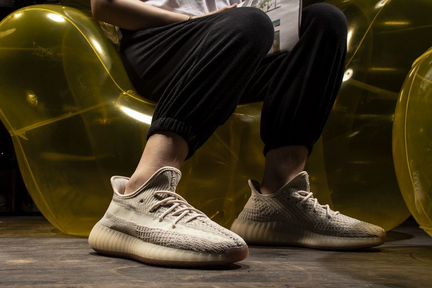 Adidas Yeezy Boost 350 v.2 