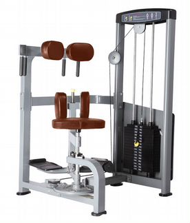 Bronze GYM D-011 Торс-машина
