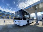 Городской автобус Lotos 105, 2021 объявление продам