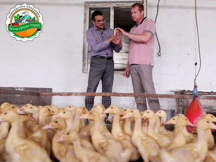 Индейка. Филе сыровяленное