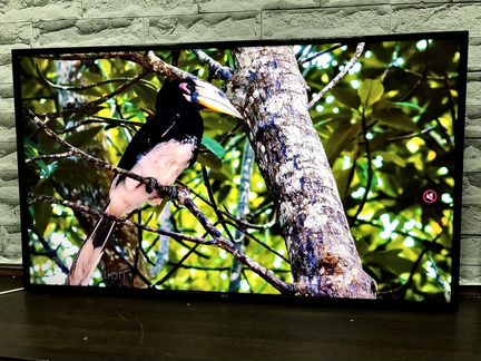 Premium LG 55 4K UHD HDR10 smart TV wifi