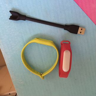 Xiaomi Mi Band 1
