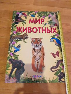 Большая книга Мир животных