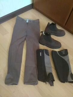 Конный спорт экипировка