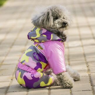 Комбезы для собак 2000 моделей в наличии