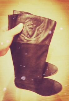 Сапоги нубук