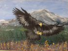 Картина Горный орел