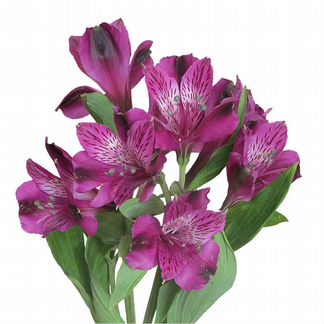 Альстромерия, исскуственный цветок