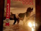 DVD диск про собак
