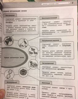 Мазур, Никитинская: Биология